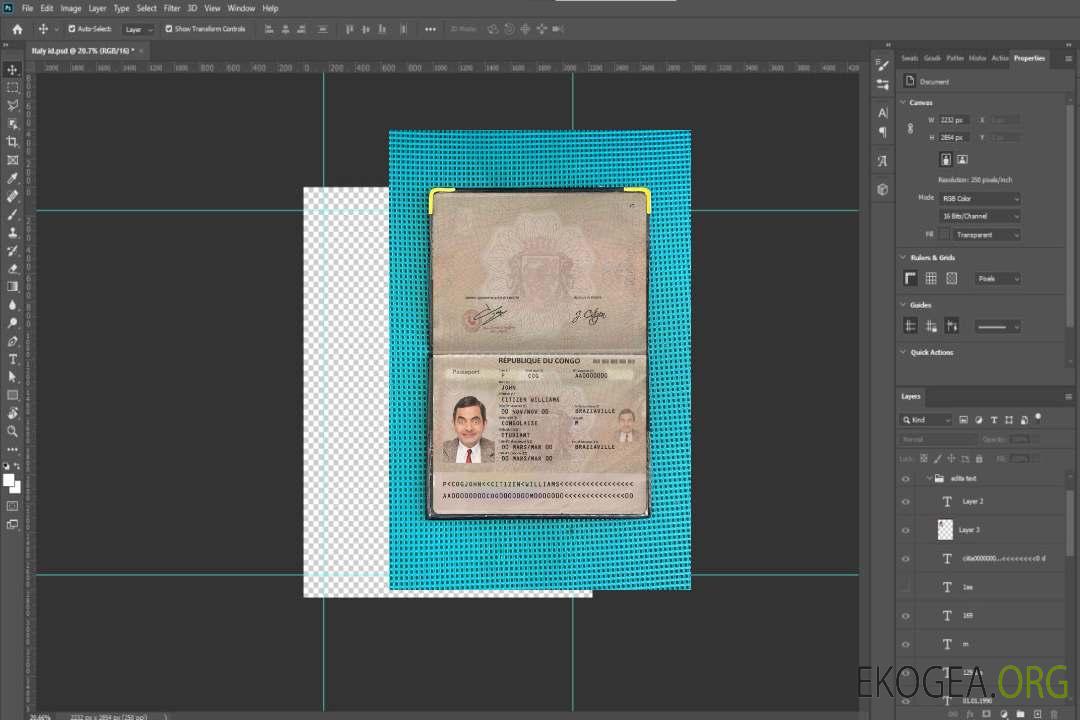 Aperçu photo du passeport congolais (2014-présent) template